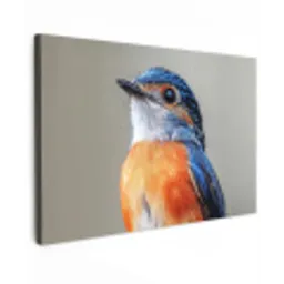 Kleurrijk - Vogeltje - Veren - Blauw Tuinposter op houten frame 2 cm dik klein -3d