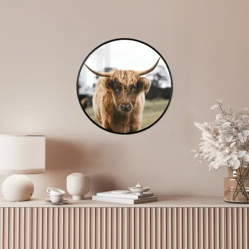 Schotse Hooglander -  Koe - Gras - Dieren - Natuur Fotolijst rond zonder passe partout klein -sfeer3