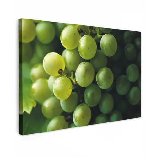 Druiven - Tros - Groen canvas 2cm klein -z3d