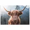 Schotse hooglander - Koe - Dieren - Berg - Natuur poster papier klein -3d
