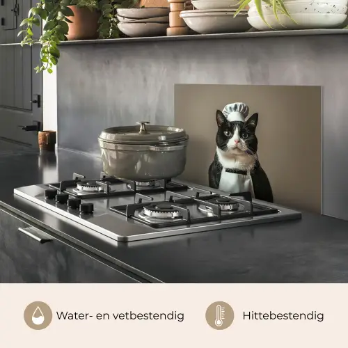 Kat - Kokskleding - Zwart - Wit keuken achterwand spatscherm klein -usp_NL