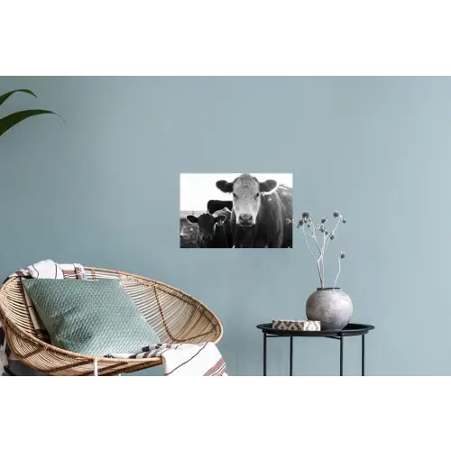 Koeien - Zwart - Wit Muursticker klein -plant