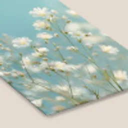 Stengels - Bloemen - Lucht - Wit fotolijst zwart zonder passe partout klein -zsfeer6