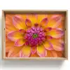 Dahlia - Bloem - Oranje Dienblad Rechthoek middel -z3d_shopping