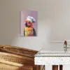 Papegaai - Koksmuts - Nieuwsgierig - Vogel KitchenYeah - Keuken - Canvas klein -sfeer3