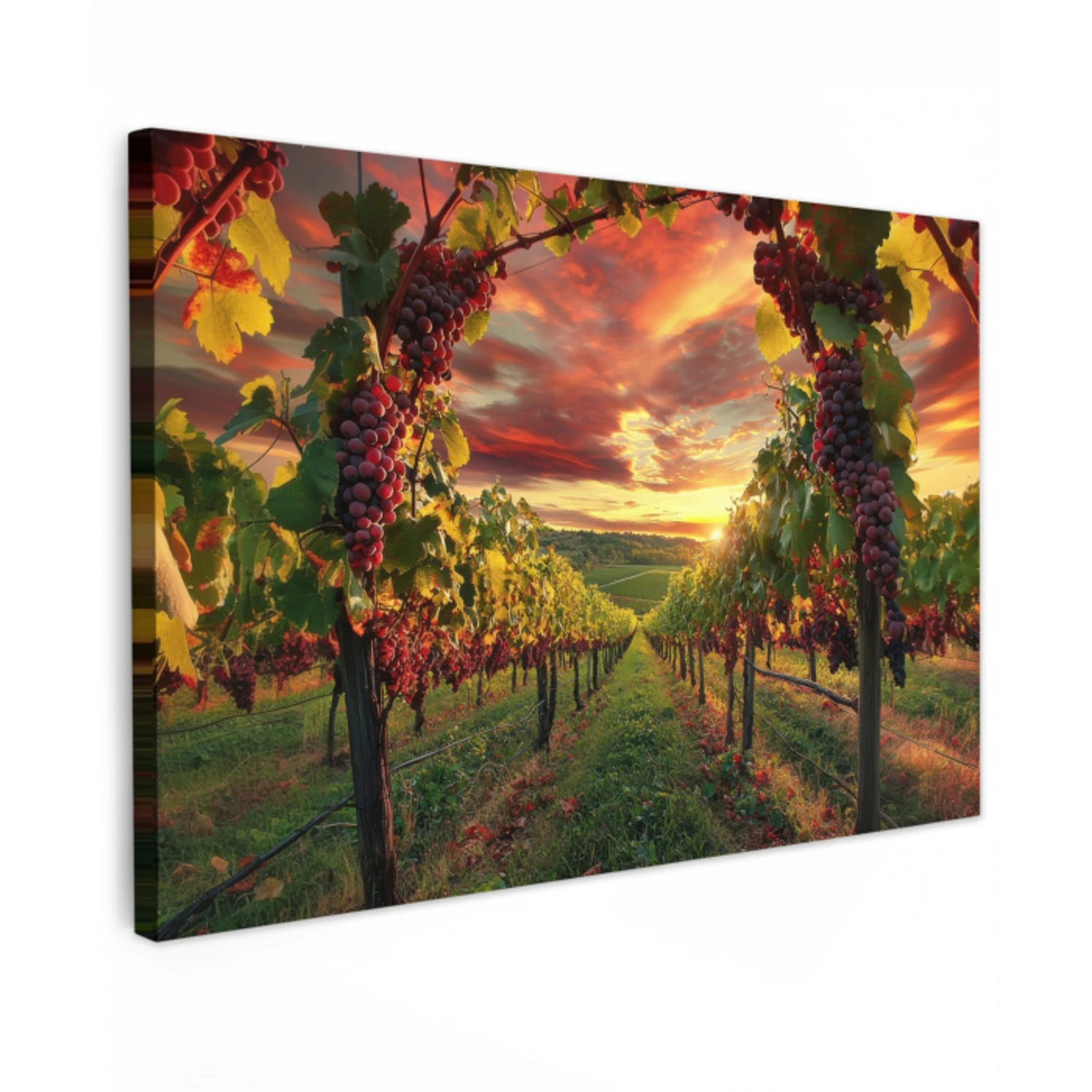 Wijngaard - Druiven - Zonsondergang Tuinposter op houten frame 2 cm dik klein -3d