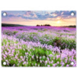 Lavendelvelden bij zonsondergang tuinposter los doek klein -3d