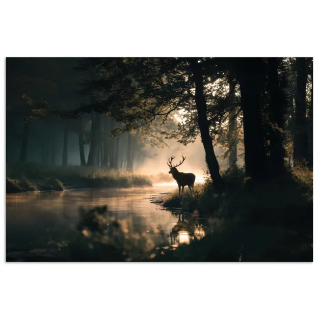 Poster - Hert - Bosbeek - Mystiek