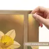 Bloemen - Geel - Wazig Light Box met batterij (Wandlamp) middel -USP_websiteprintNL