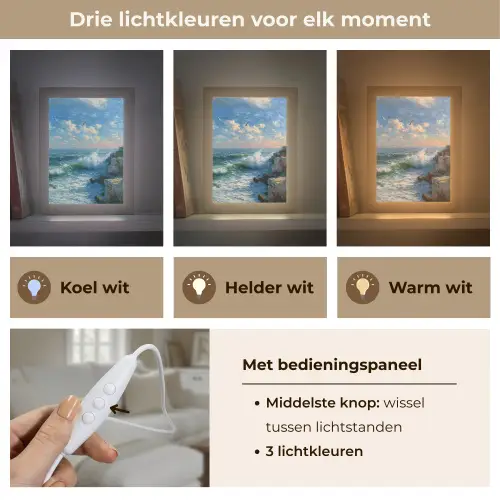 Zee - Golven - Rotsen - Meeuwen Light Box met kabel (Tafellamp) klein -USP_lichtkleurNL