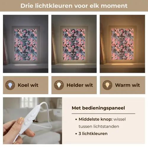 Zomer - Vlinder - Zwart - Roze Light Box met kabel (Tafellamp) klein 925 -USP_lichtkleurNL