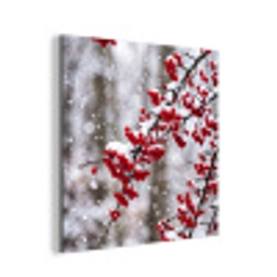 Bessen - Takken - Sneeuw - Winter - Kleurrijk aluminium wit klein -3d