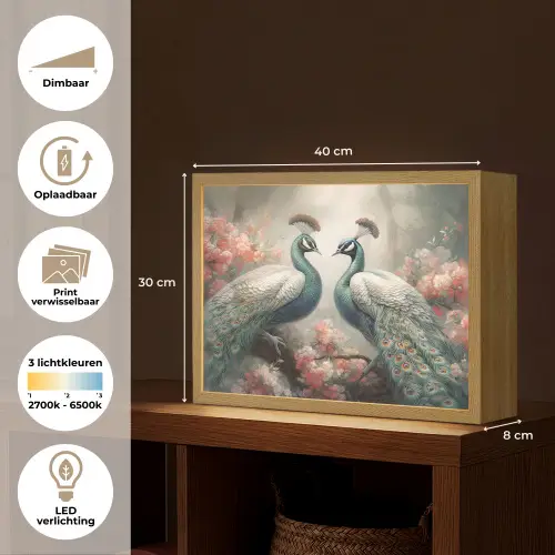 Pauwen - Pauwenveren - Vogels - Bloemen - Natuur Light Box met batterij (Wandlamp) middel -USP_websiteoverzichtNL