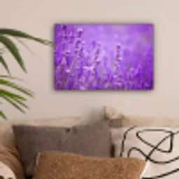 Lavendel - Close-up - Bloemen - Paars canvas 2cm klein -sfeer1