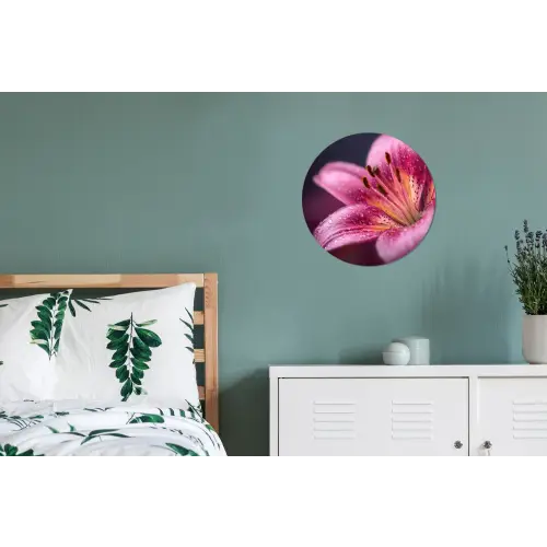 Roze - lelie - Dauwdruppels Wandcirkel aluminium klein -slaapkamer