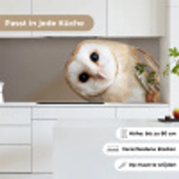 Uil - Bruin - Wit keuken achterwand 2 middel -sfeer4_DE