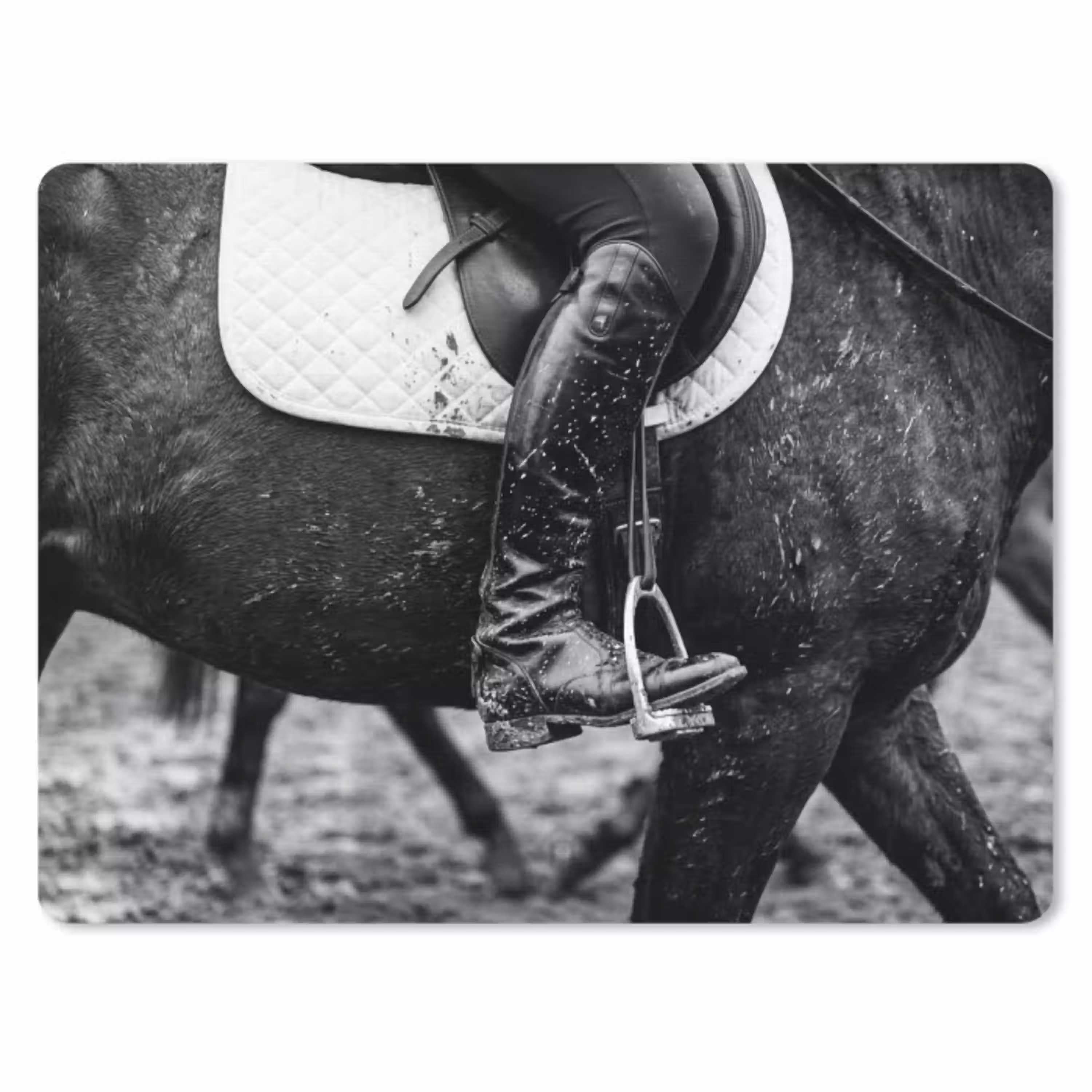 Paard - Sport - Zwart - Wit muismat rubber klein -3d