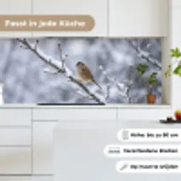 Vogel - Tak - Sneeuw - Winter keuken achterwand 2 middel -sfeer4_DE