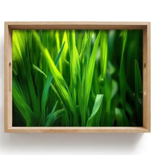 Grassprieten - Lichtinval - Groen Dienblad Rechthoek middel -z3d_shopping