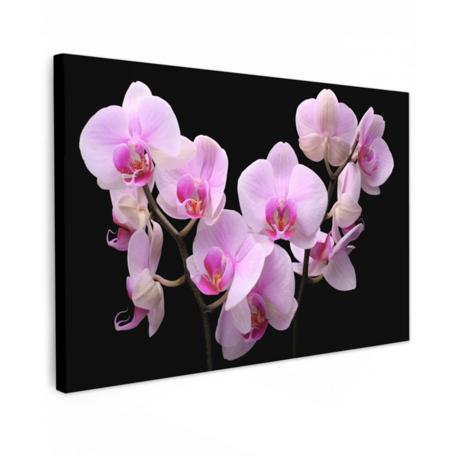 Orchidee - Bloemen - Roze - Flora canvas 2cm klein -z3d