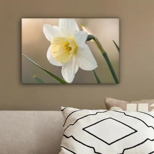 Narcis - Bloem - Minimalistisch canvas 2cm klein -sfeer3