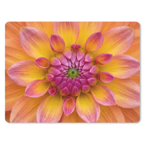 Dahlia - Bloem - Oranje muismat rubber klein -3d