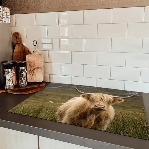 Schotse hooglander - Bergen - Grasveld Inductie beschermer vinyl 3mm klein -sfeer3