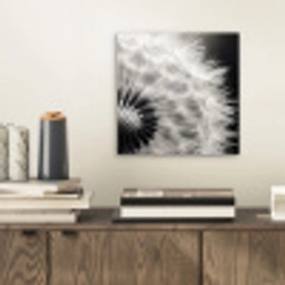Paardenbloem - Zwart - Wit aluminium wit klein -sfeer1