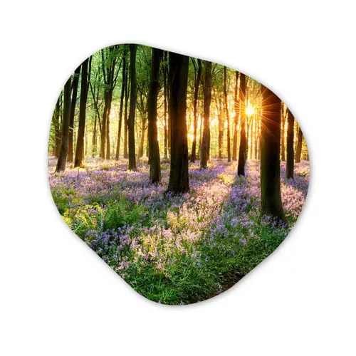 Bos - Bloemen - Lavendel - Zon - Paars - Natuur Wandcirkel Organisch Forex 3mm klein -3d