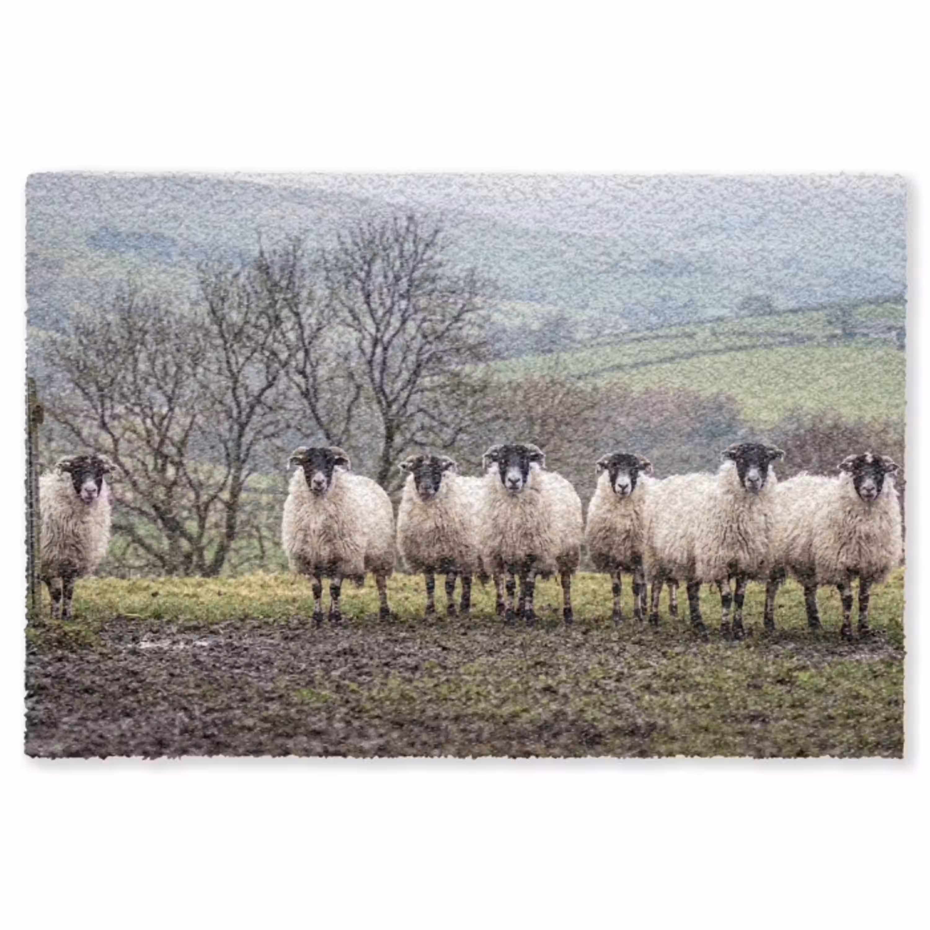 Schapen - Rij - Weide - Dieren - Platteland Vloerkleed Rechthoek klein -3d