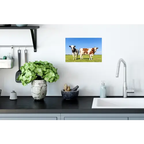 Koeien - Boerderij - Gras- Natuur - Dieren Muursticker klein -keuken