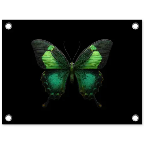 Vlinder - Groen - Opvallend tuinposter los doek klein -3d