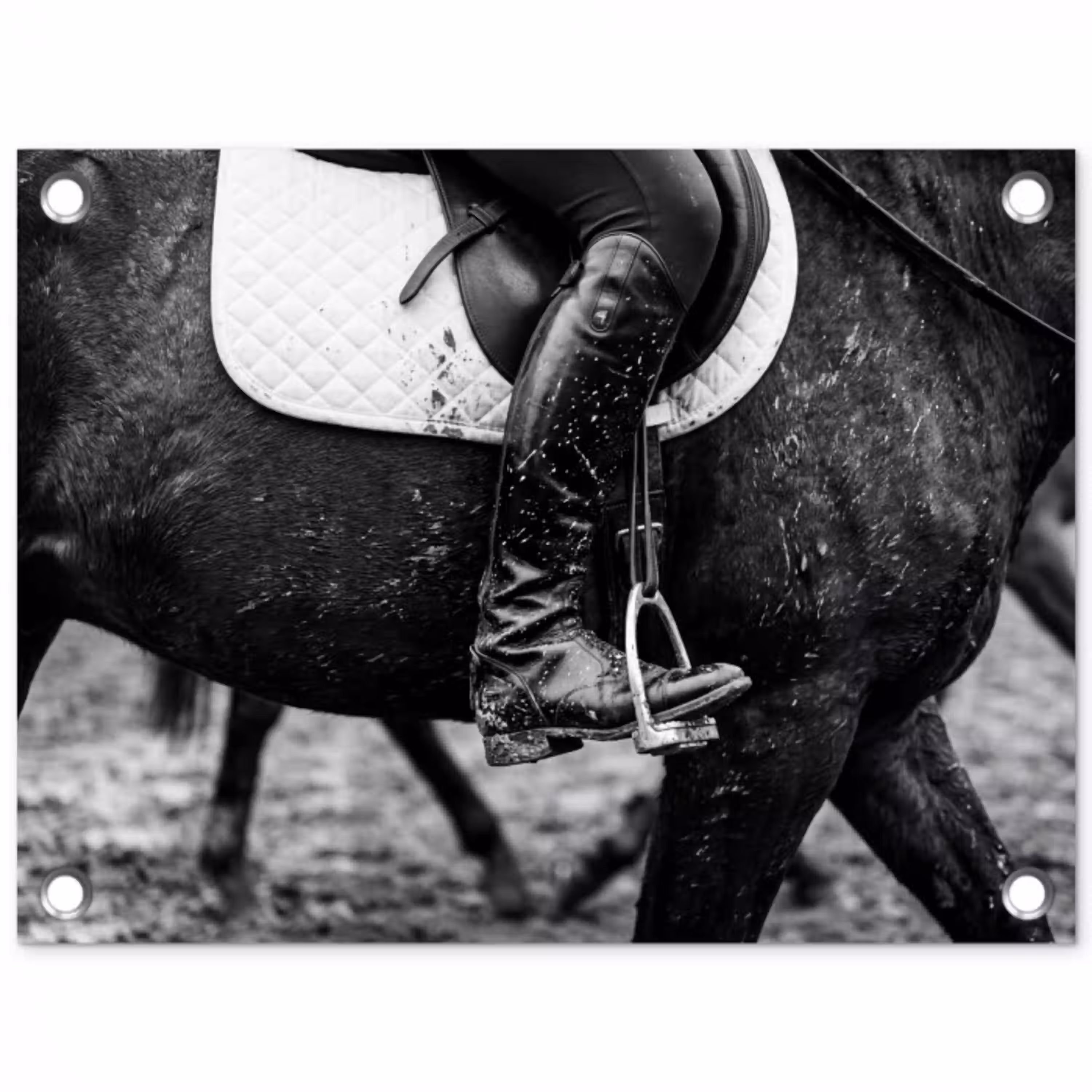 Paard - Sport - Zwart - Wit tuinposter los doek klein -3d