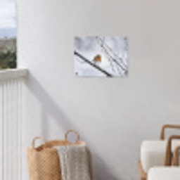 Roodborstje - Tak - Sneeuw - Winter - Levendig tuinposter los doek klein -sfeer8