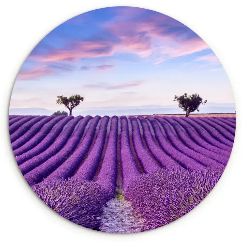 Lavendel - Natuur - Paars - Bomen - Bloemen Wandcirkel kunststof plaat 5mm dik klein -3d