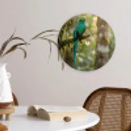 Quetzal - Jungle - Natuur - Groen Wandcirkel kunststof plaat 5mm dik klein -sfeer4