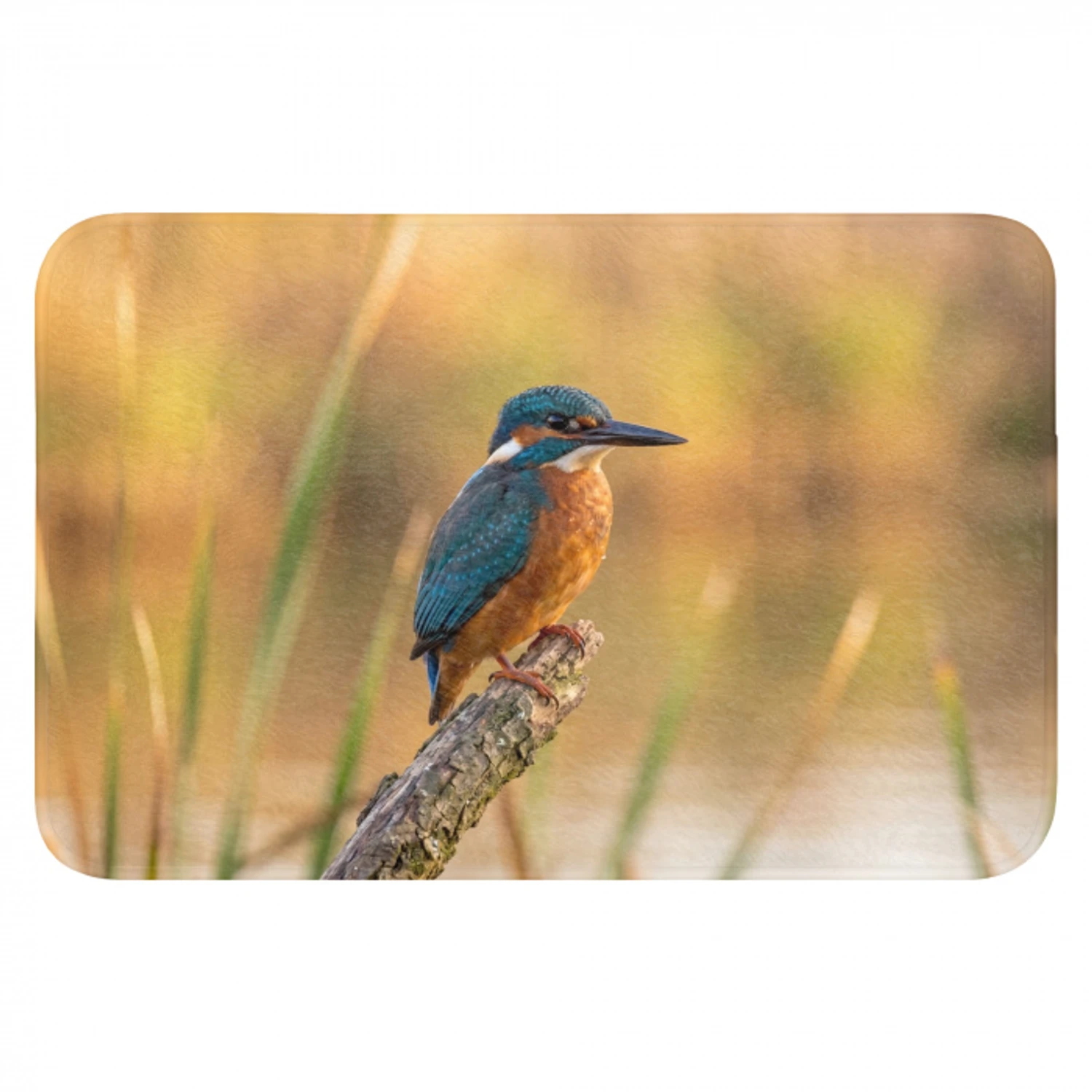 IJsvogel - Tak - Water - Kleurrijk - Levendig Badmat klein -3d