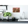 Kolibries - Bloemen - Groen - Roze Muursticker klein -keuken