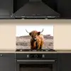 Schotse hooglander - Landschap - Koe - Bruin - Dieren - Natuur keuken achterwand spatscherm klein -sfeer1