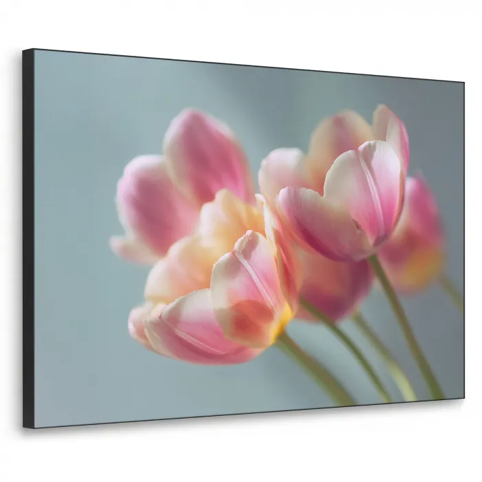 Tulpen - Roze - Stelen Textielframe zwart klein -3d