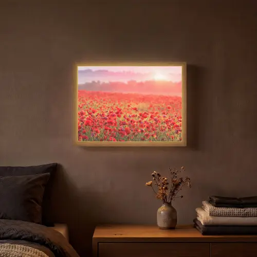 Bloemen - Klaprozen - Rood - Bloemenveld Light Box met batterij (Wandlamp) middel -sfeer4