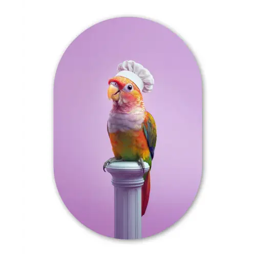 Papegaai - Koksmuts - Pilaar - Vogel Wandcirkel Ovaal Glas middel -3d