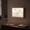 Bloemen - Wit - Zonlicht Light Box met batterij (Wandlamp) middel -sfeer1