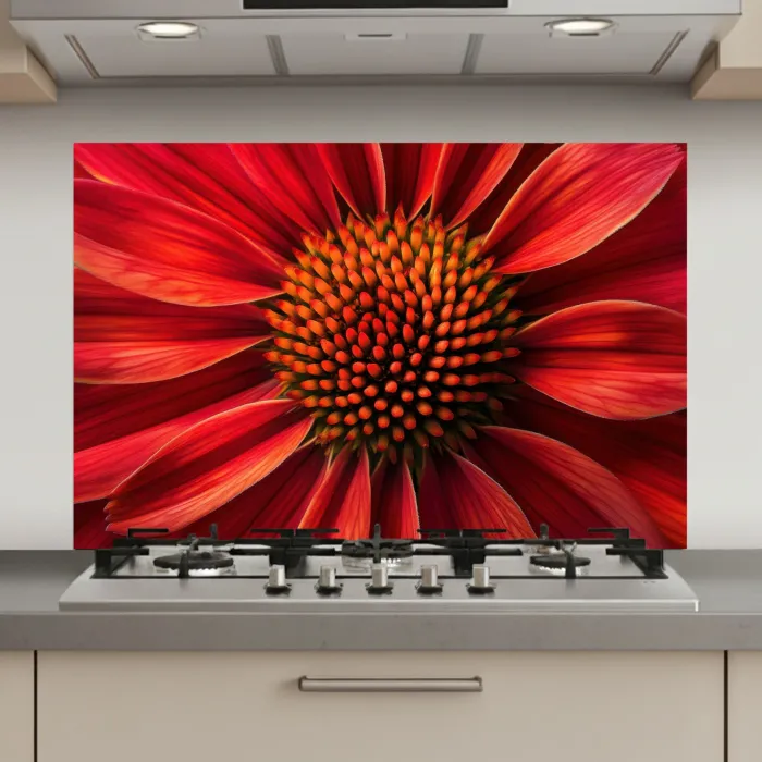 Close up - Bloem- Rood keuken achterwand spatscherm klein -3d_website