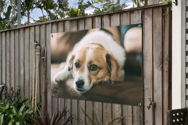 Tuinposter met hond