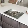 Heerser van de Mist Inductie beschermer vinyl 3mm klein -sfeer8