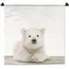 IJsbeer - Dieren - Kinderen - Wit - Jongens - Meisjes Wandkleed katoen klein -zz3d