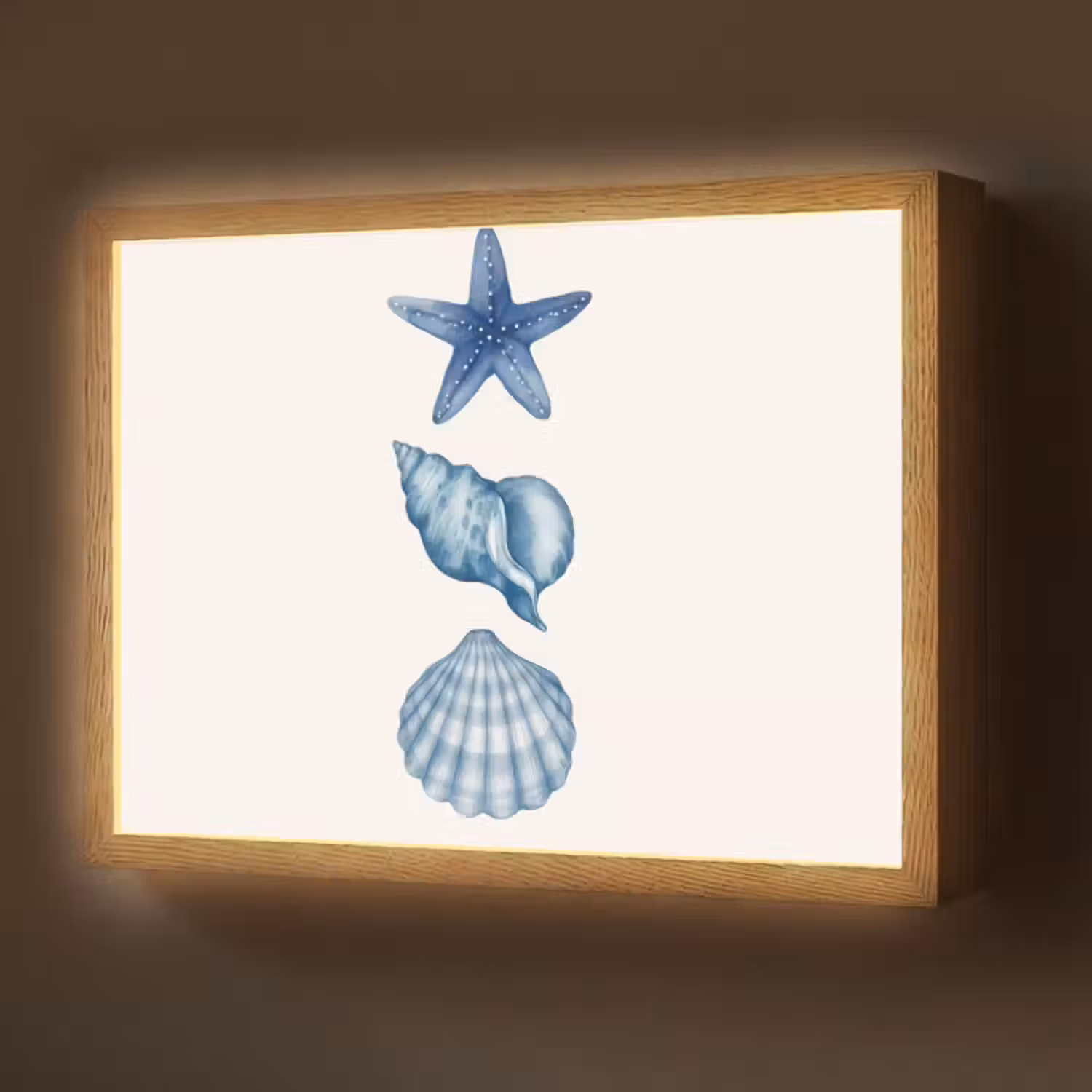 Lightbox - Wandlamp - Zeester - Schelpen - Blauw