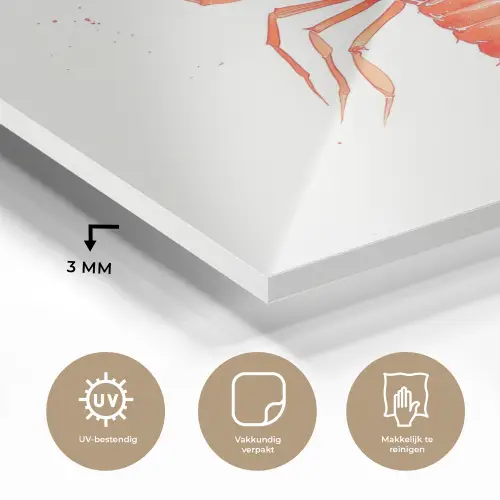 Kreeft - Waterverf - Aquarel - Oranje plexiglas 5mm klein -sfeer2