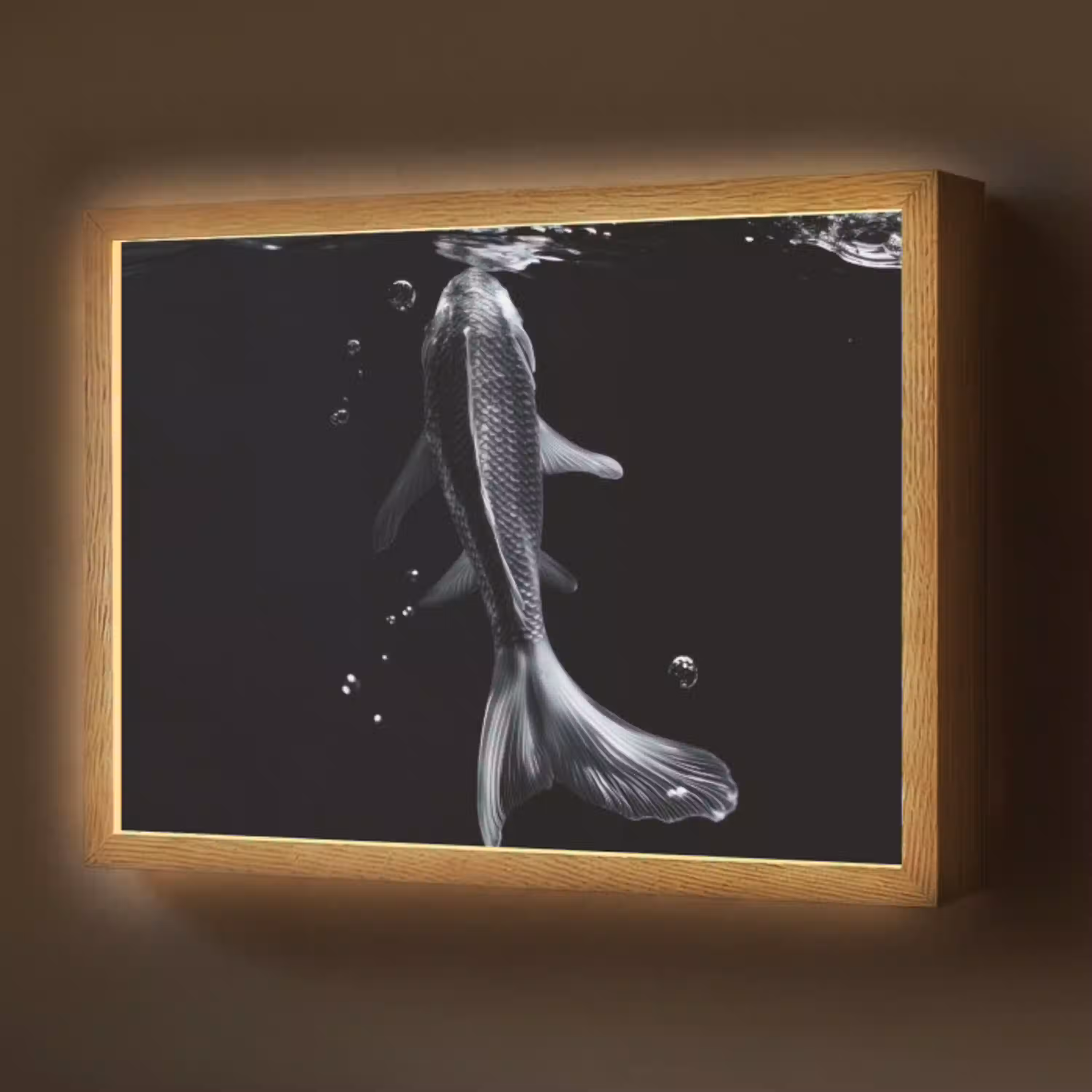 Koi - Vissen - Water - Zwart Light Box met batterij (Wandlamp) middel -z3d_website